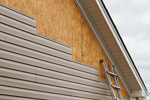 Professional Wood Siding technician working in Elgin, IL